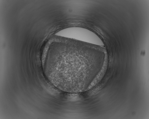 X0000088870377200707061353