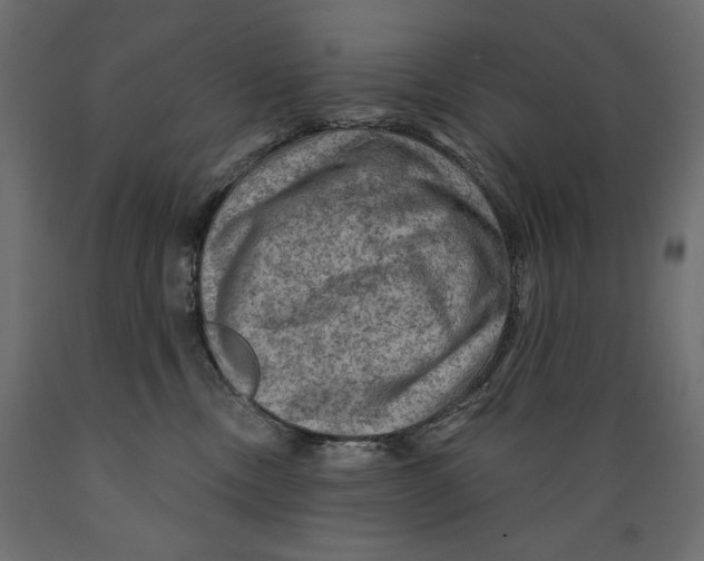 X0000088870378200707061353