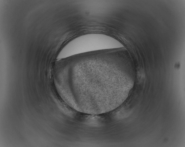 X0000088870379200707061353