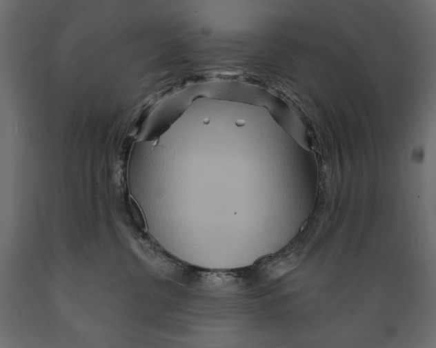 X0000088870380200707061353