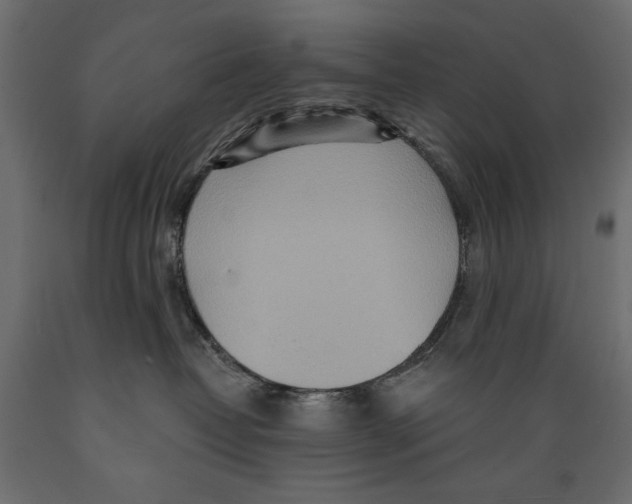 X0000088870382200707061353