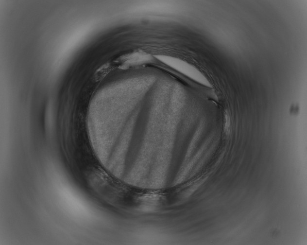 X0000088870383200707061353