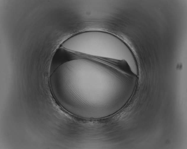 X0000088870385200707061352