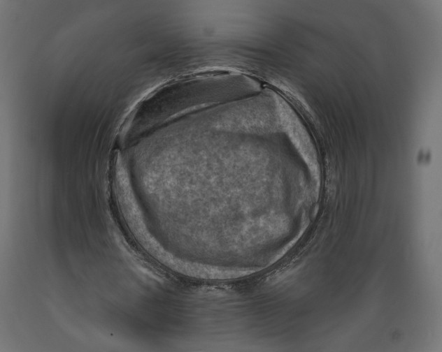 X0000088870386200707061352