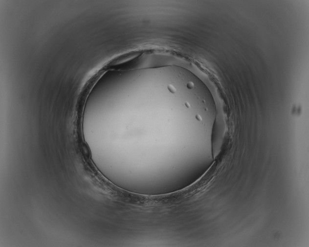 X0000088870388200707061352