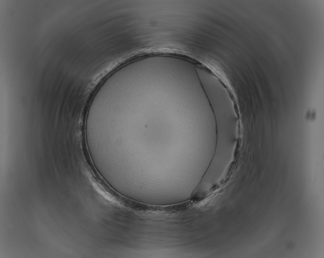 X0000088870389200707061352