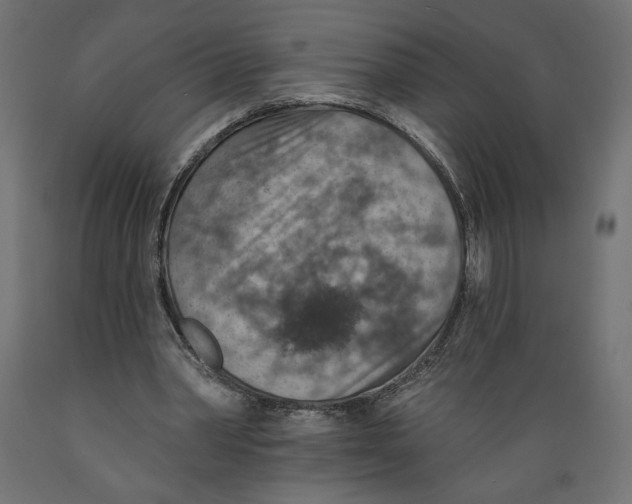 X0000088870390200707061352