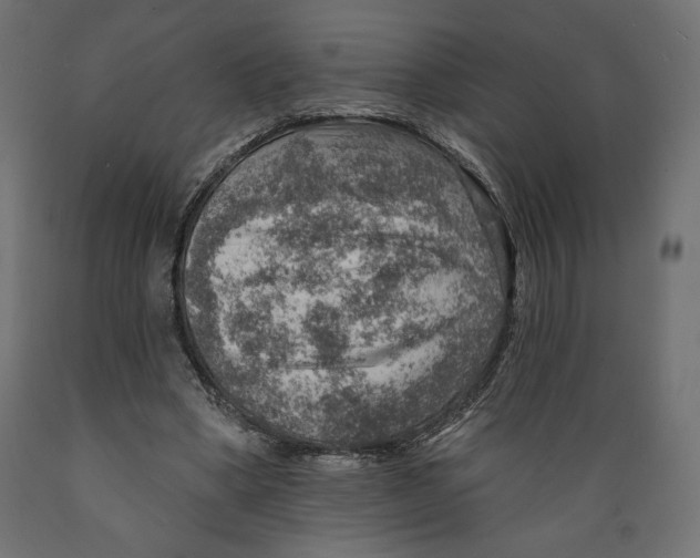 X0000088870394200707061352