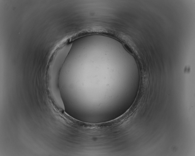 X0000088870395200707061352