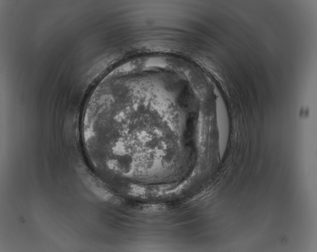 X0000088870398200707061352