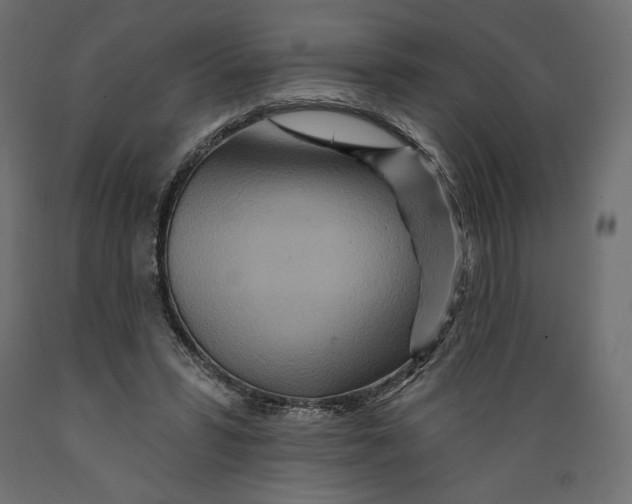 X0000088870399200707061352