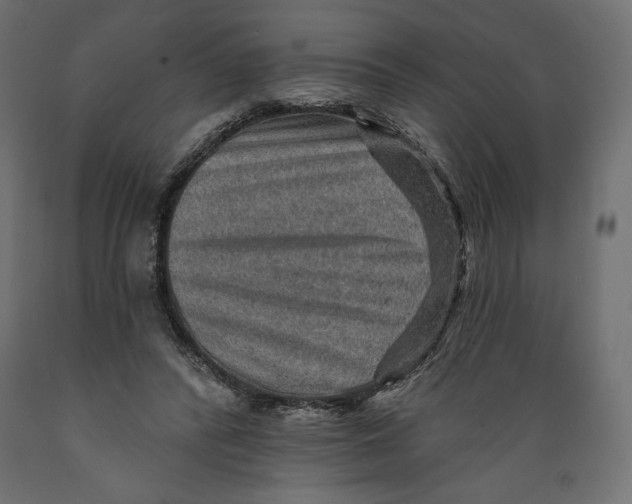 X0000088870400200707061352