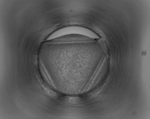 X0000088870401200707061352