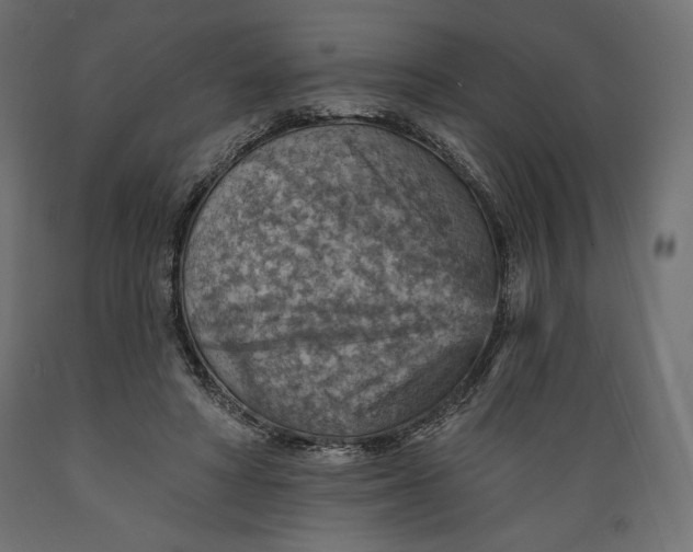 X0000088870402200707061352
