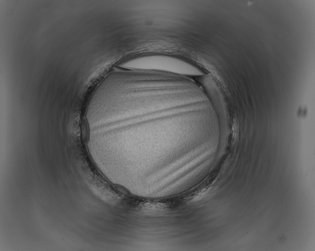 X0000088870403200707061352