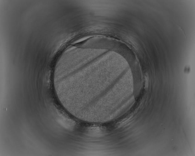 X0000088870404200707061352