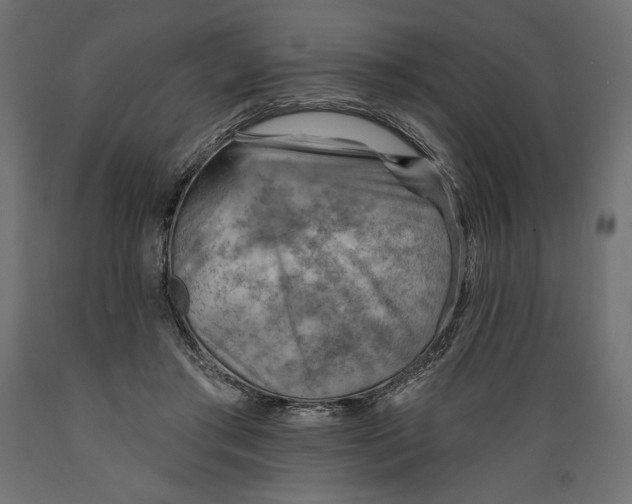 X0000088870405200707061352