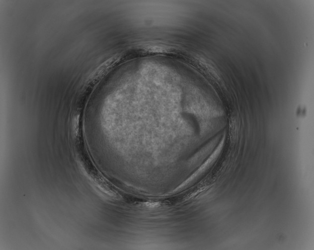 X0000088870406200707061352