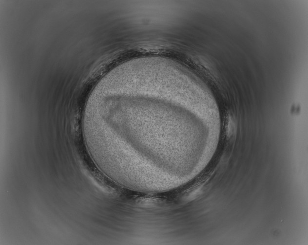 X0000088870408200707061352