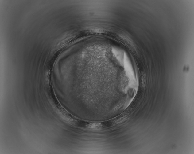X0000088870410200707061352