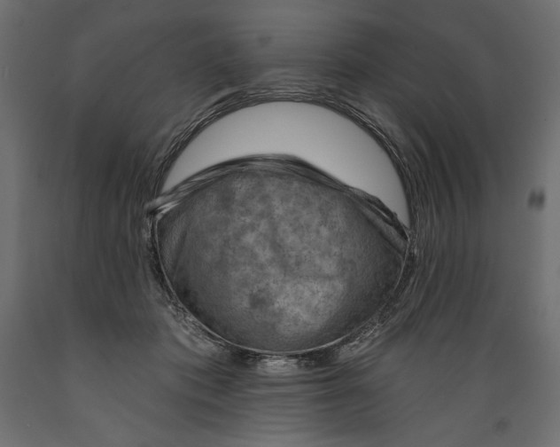 X0000088870413200707061352