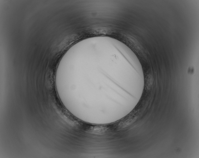 X0000088870414200707061352