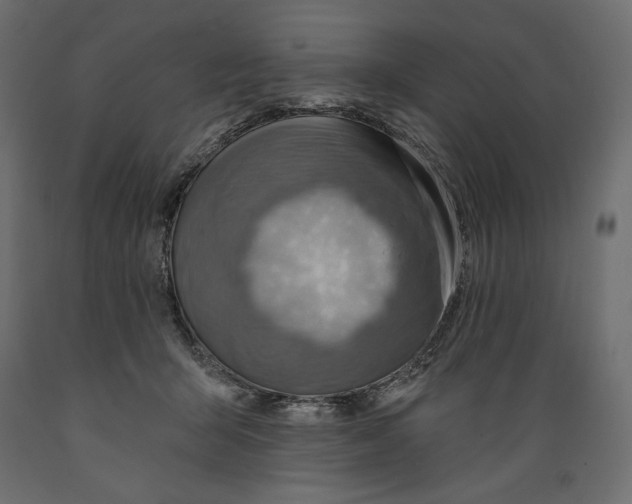 X0000088870415200707061352