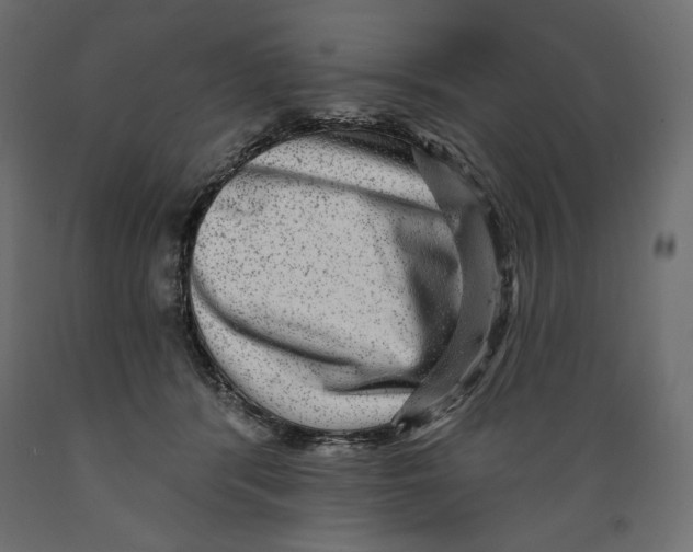 X0000088870416200707061352