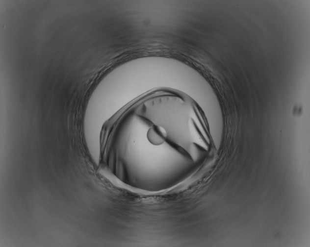 X0000088870417200707061352