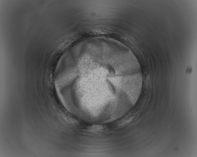 X0000088870418200707061352
