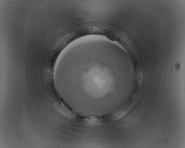 X0000088870419200707061351