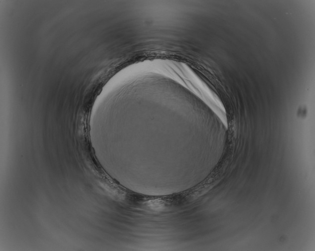 X0000088870423200707061351