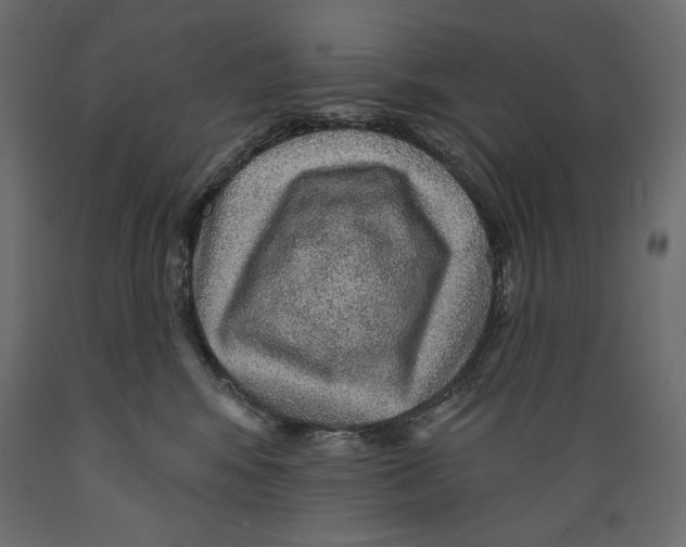 X0000088870424200707061351