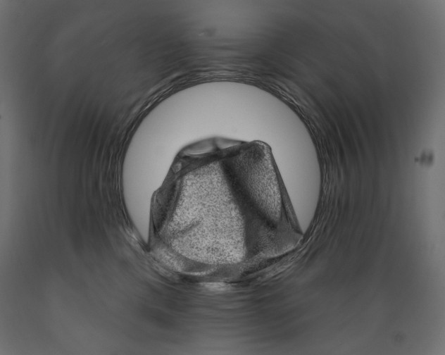X0000088870425200707061351
