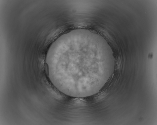 X0000088870427200707061351