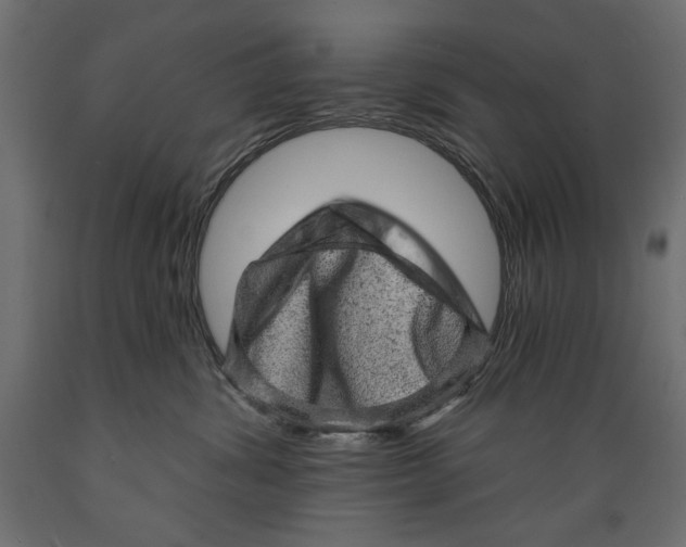 X0000088870428200707061351