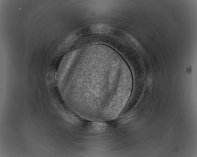 X0000088870429200707061351