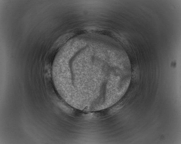X0000088870430200707061351