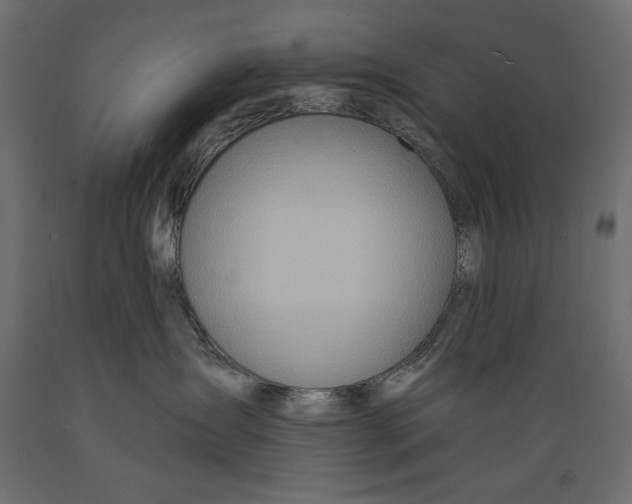 X0000088870431200707061351