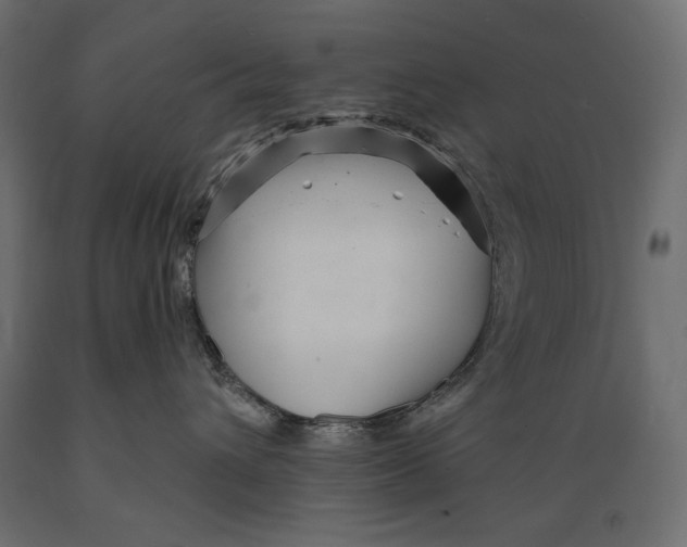 X0000088870432200707061351