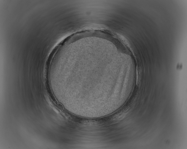 X0000088870435200707061351