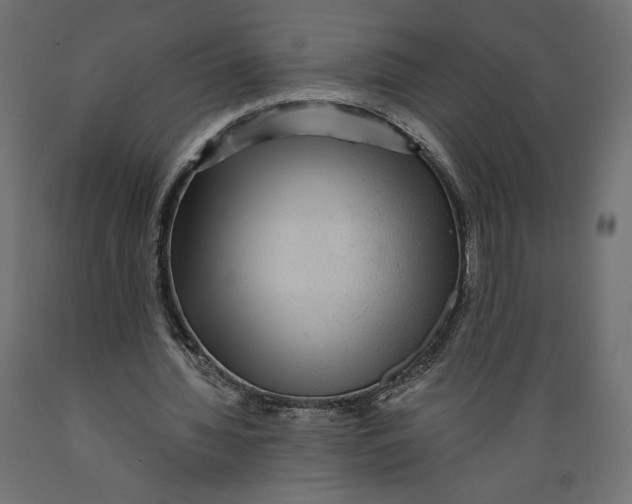 X0000088870436200707061351