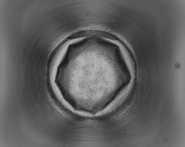 X0000088870437200707061351