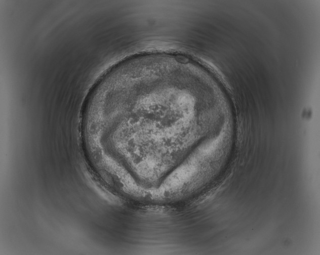 X0000088870439200707061351