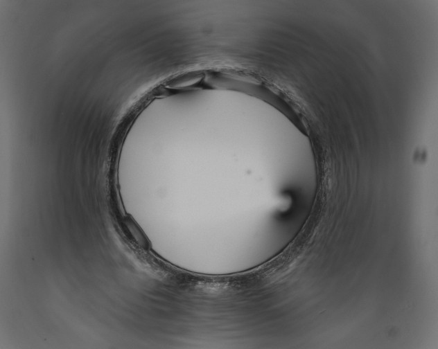 X0000088870440200707061351