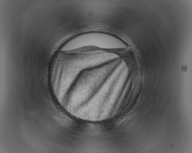 X0000088870442200707061351