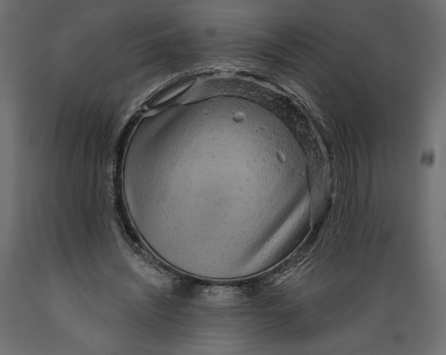 X0000088870444200707061351