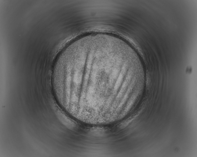 X0000088870445200707061351