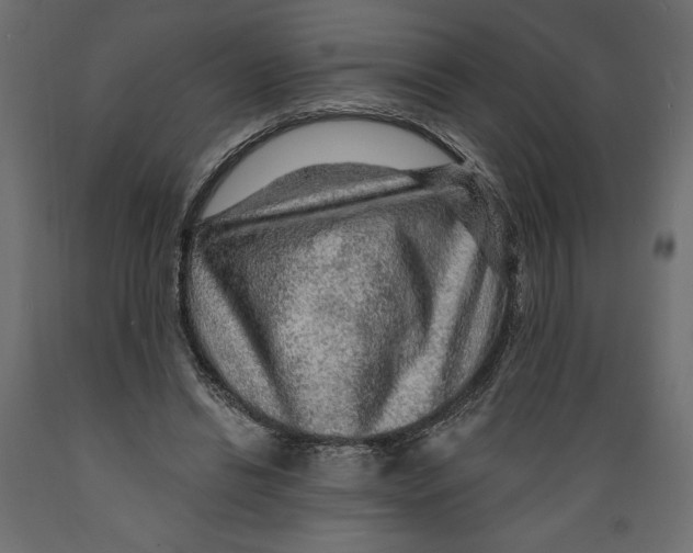 X0000088870446200707061351