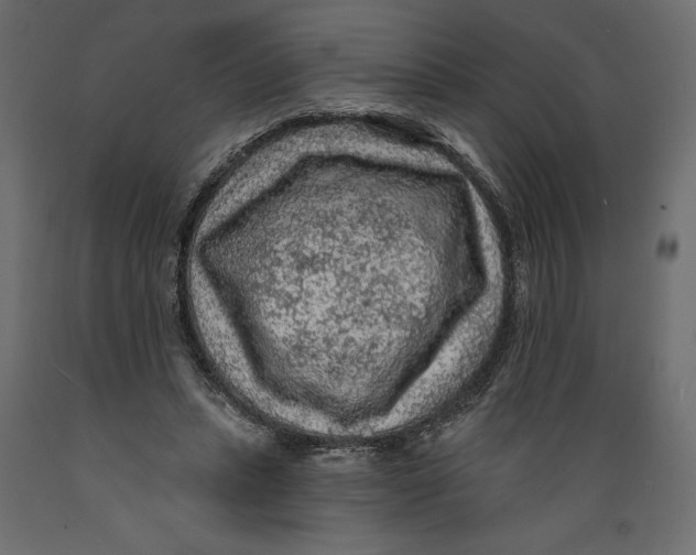 X0000088870447200707061351